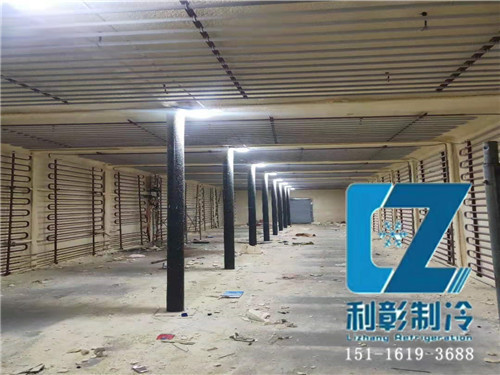 湖南天壹生物科技冷庫1 湖南天壹生物科技冷庫1