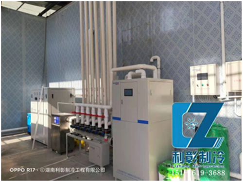 湘西國(guó)家農(nóng)業(yè)園氣調(diào)保鮮庫(2)