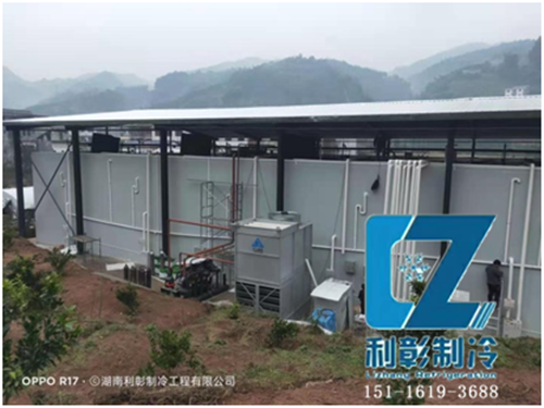 新寧吉呈果業(yè)氣調(diào)保鮮冷庫(kù)(4)